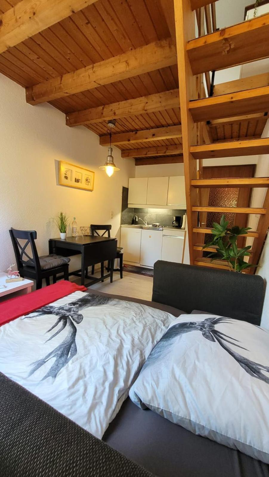 Berg-Buedchen - Schnuckelige Maisonette-Fewo - Gemuetlich Und Guenstig Sankt Andreasberg Esterno foto