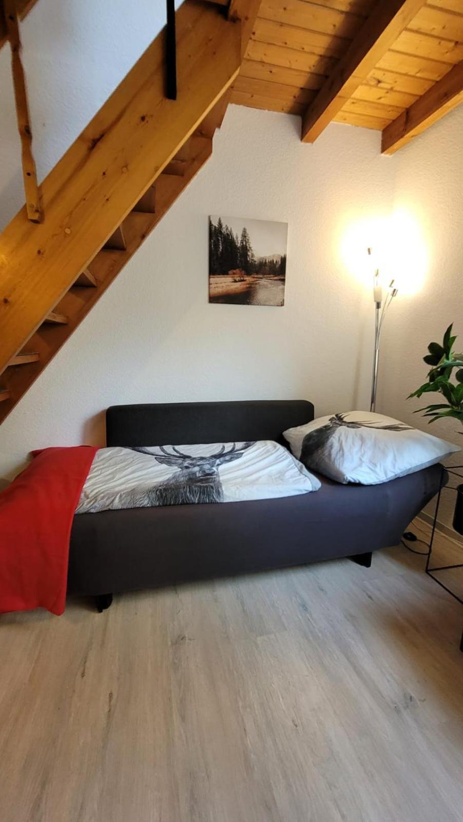 Berg-Buedchen - Schnuckelige Maisonette-Fewo - Gemuetlich Und Guenstig Sankt Andreasberg Esterno foto
